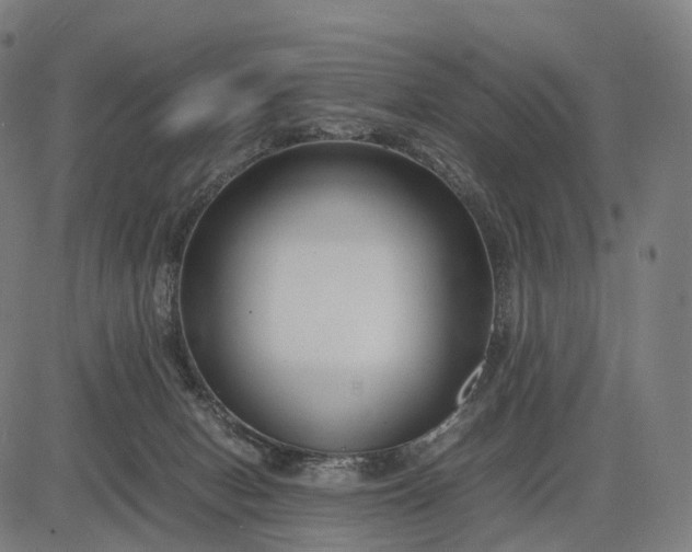 X0000083060078200702161807