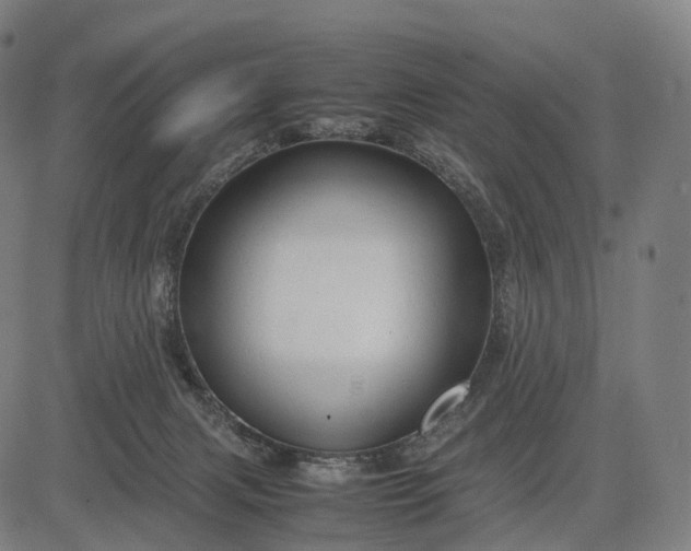 X0000083060079200702161807