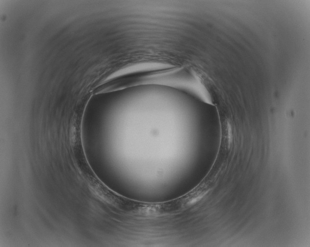 X0000083060080200702161807