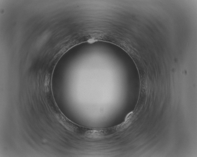 X0000083060082200702161807