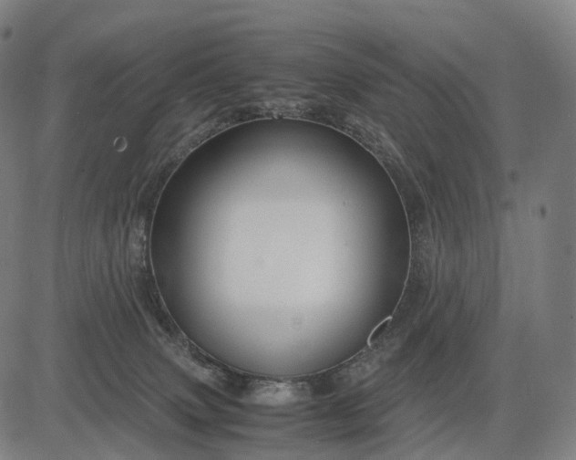 X0000083060083200702161807