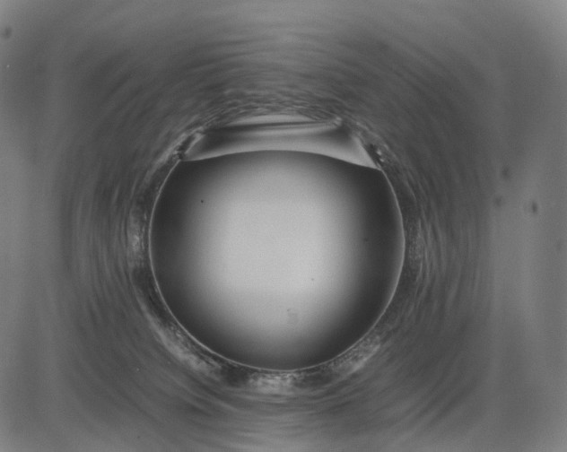 X0000083060084200702161807