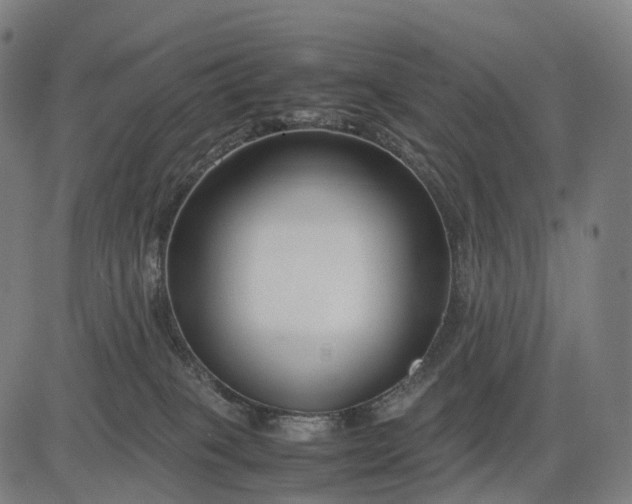 X0000083060085200702161807