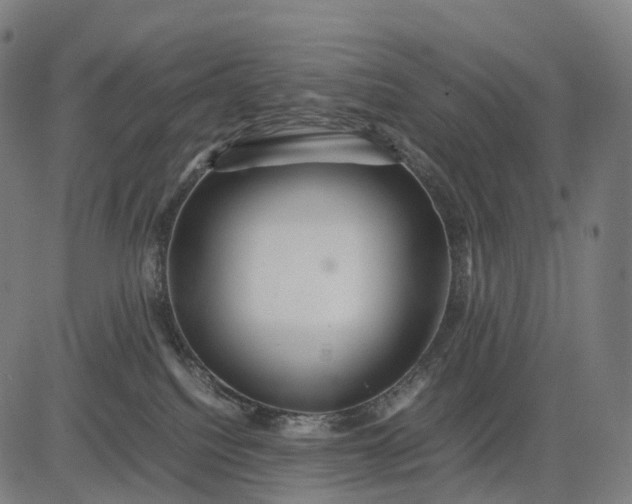 X0000083060088200702161807