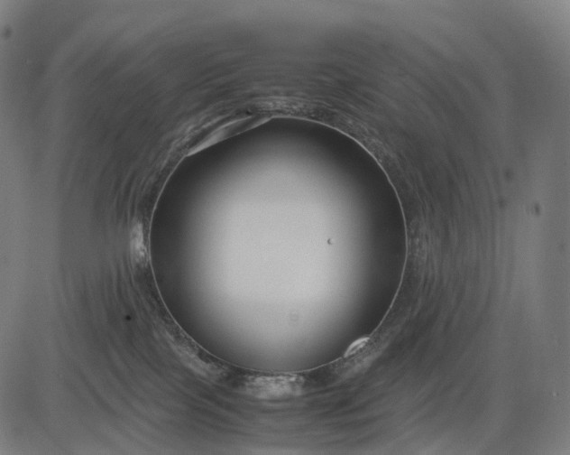 X0000083060089200702161807