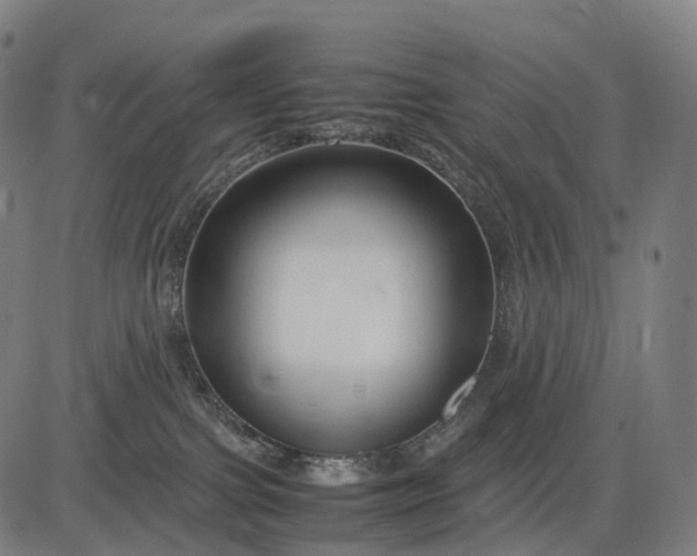 X0000083060091200702161807