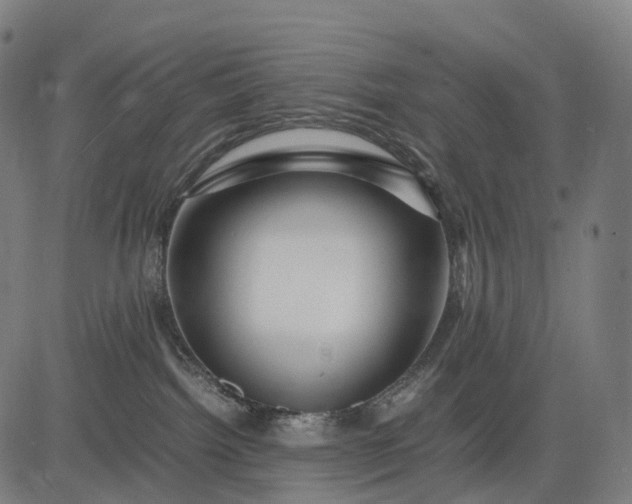 X0000083060092200702161807