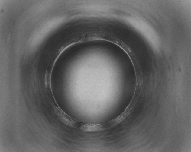 X0000083060093200702161807