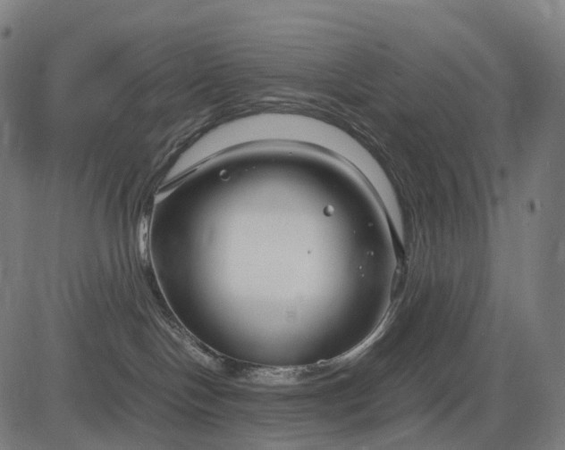 X0000083060094200702161807