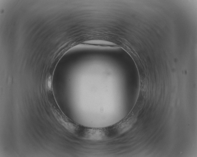 X0000083060095200702161807