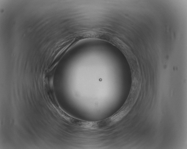 X0000083060096200702161807