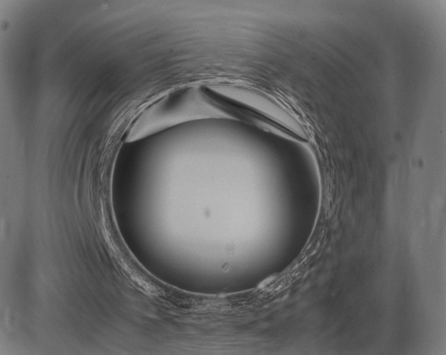 X0000083060097200702161806