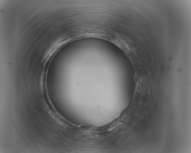 X0000083060098200702161806