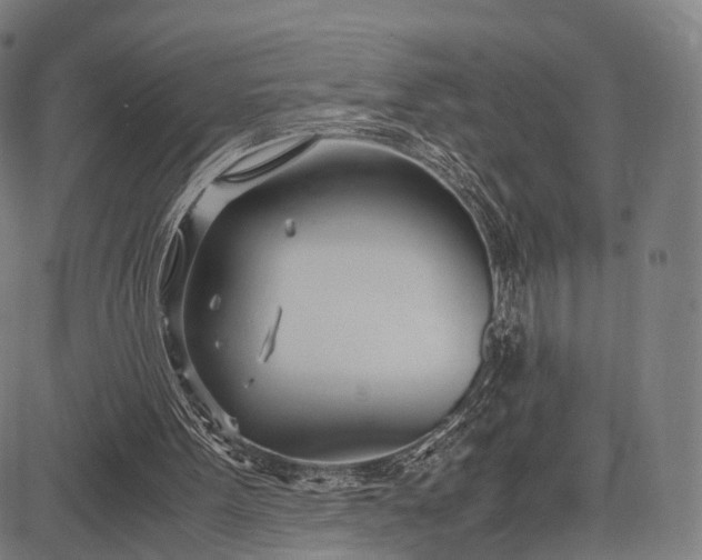 X0000083060099200702161806