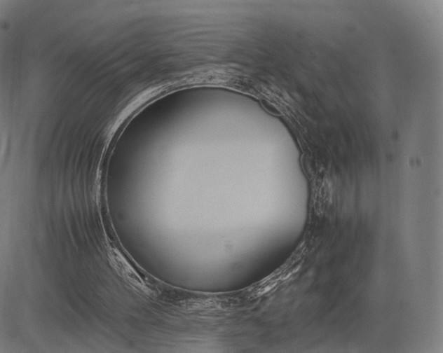 X0000083060100200702161806