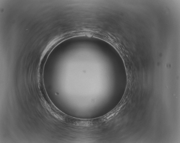 X0000083060102200702161806