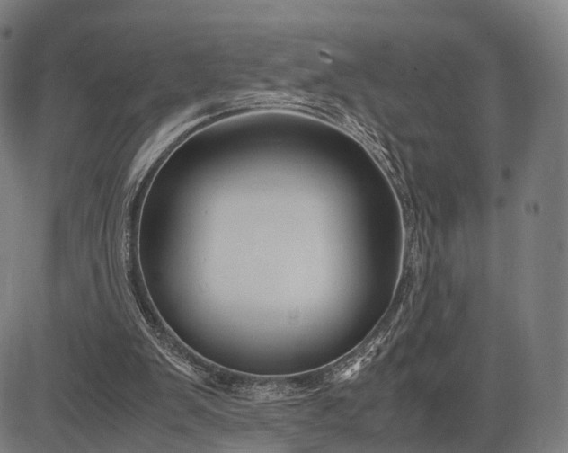 X0000083060103200702161806