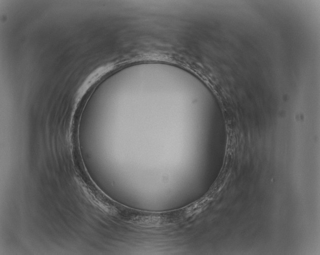 X0000083060104200702161806