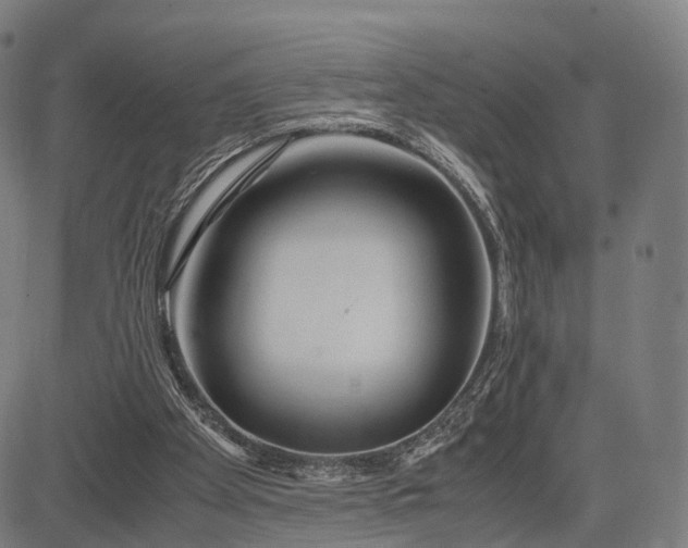 X0000083060105200702161806