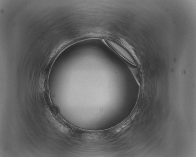 X0000083060106200702161806