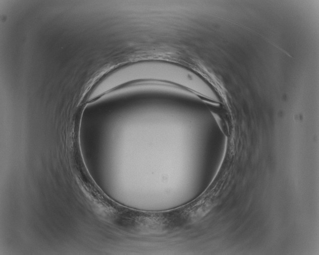 X0000083060107200702161806