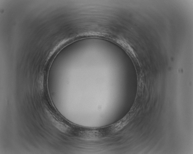 X0000083060108200702161806