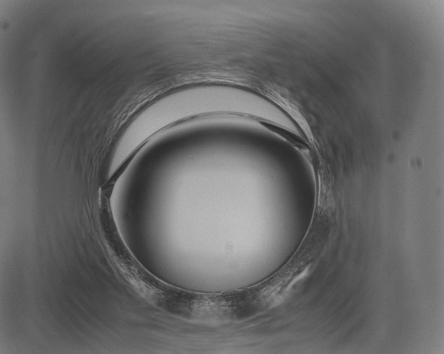 X0000083060109200702161806