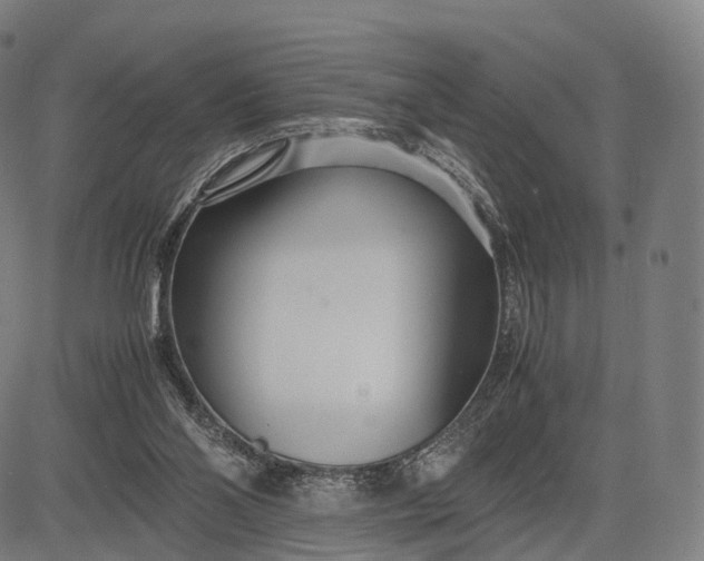 X0000083060110200702161806