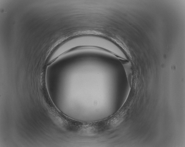 X0000083060111200702161806