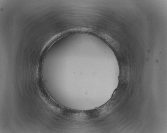 X0000083060112200702161806