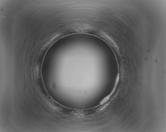 X0000083060113200702161806