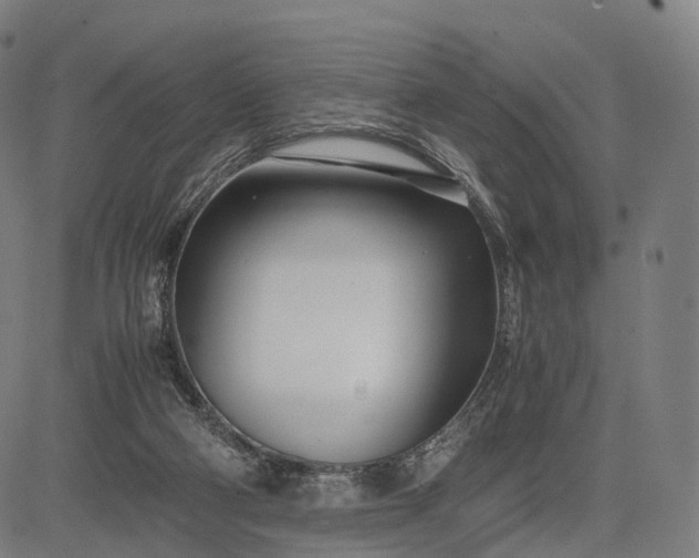 X0000083060114200702161806