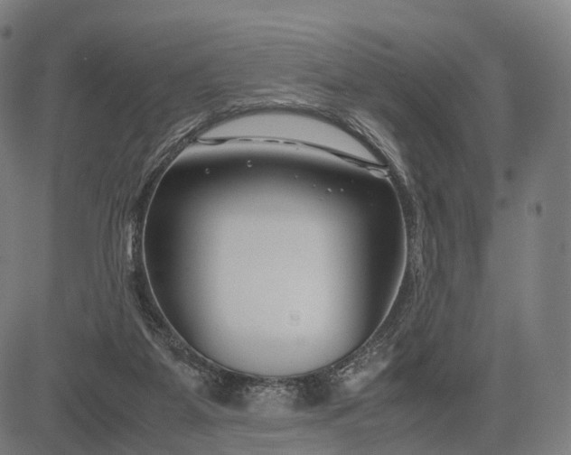 X0000083060115200702161806