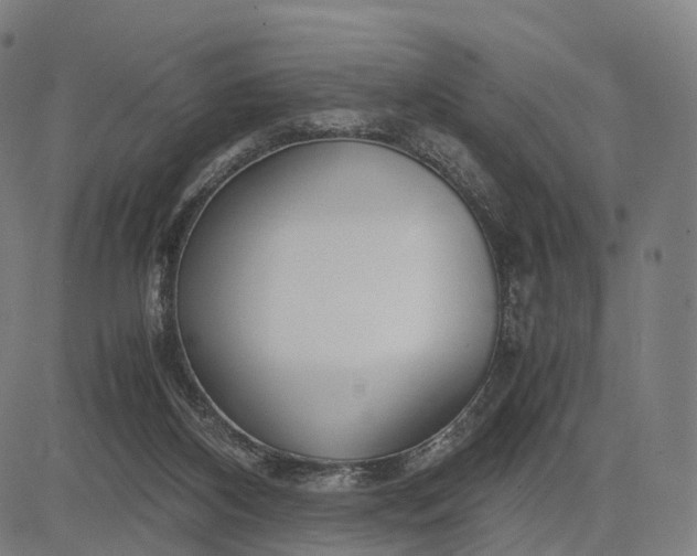 X0000083060116200702161806