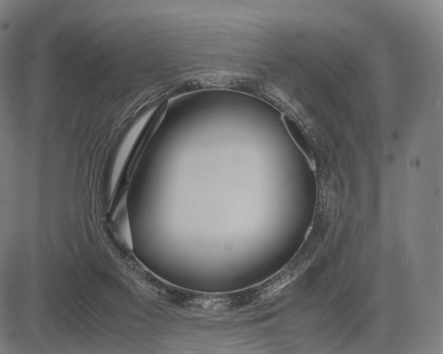 X0000083060117200702161806