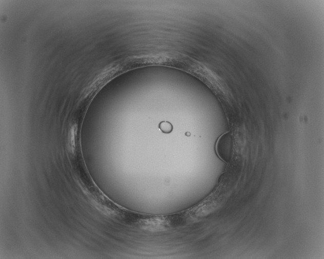 X0000083060118200702161806