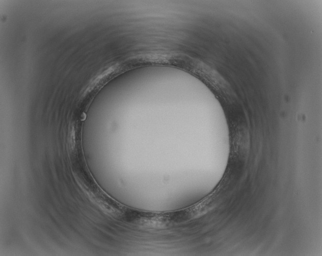 X0000083060120200702161806