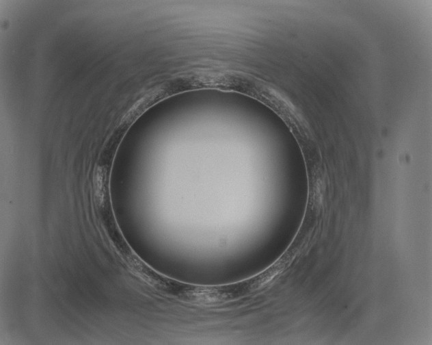 X0000083060121200702161806