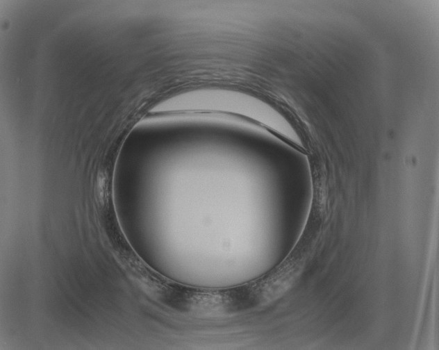 X0000083060123200702161806