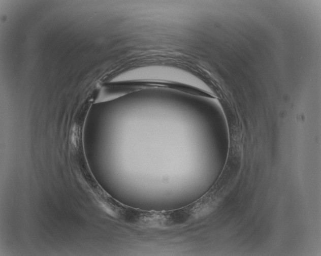 X0000083060125200702161806