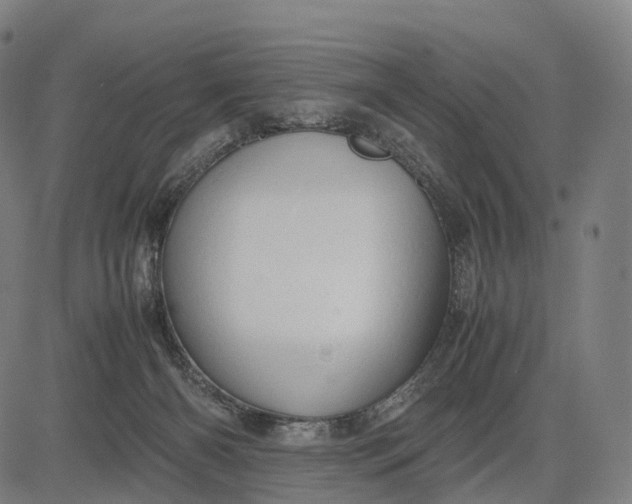 X0000083060126200702161806