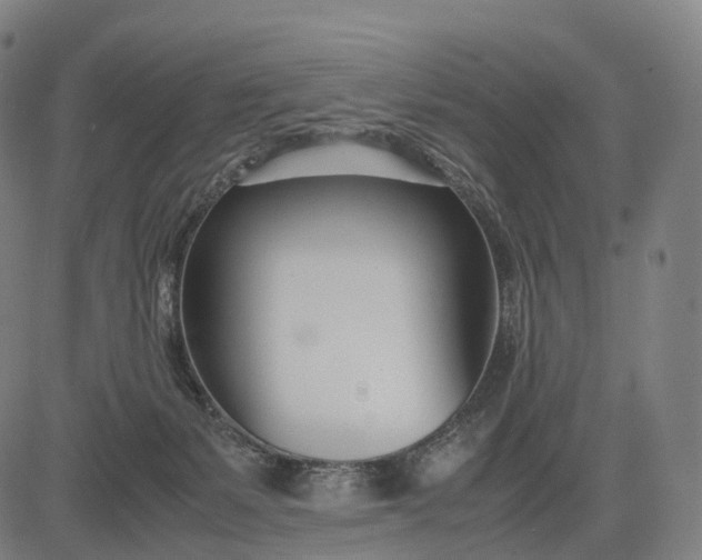 X0000083060127200702161806