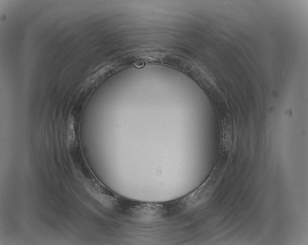 X0000083060128200702161806