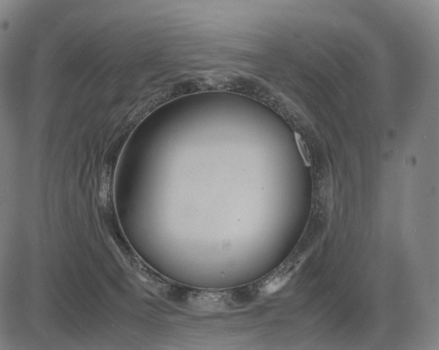 X0000083060129200702161806