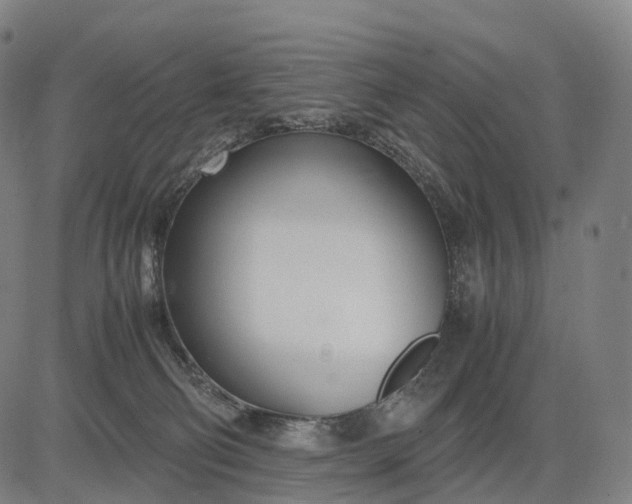 X0000083060130200702161806