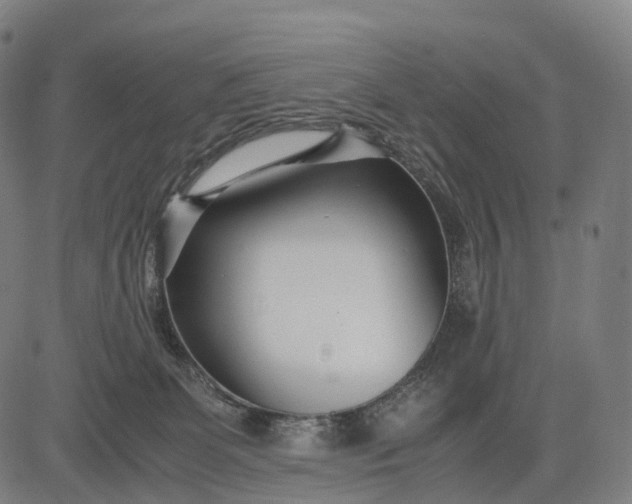 X0000083060131200702161806