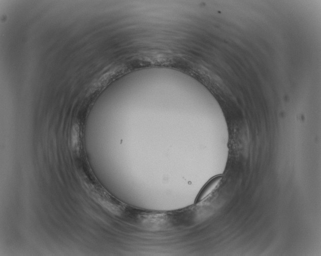 X0000083060132200702161806