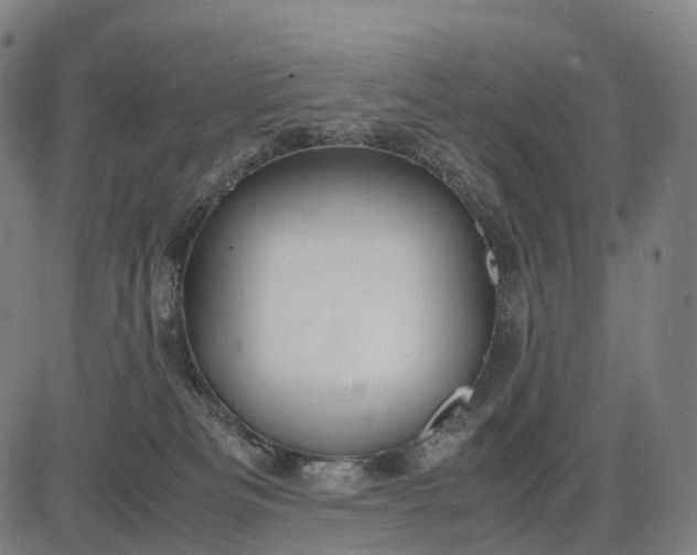 X0000083060133200702161806