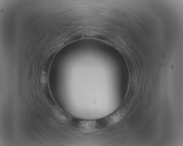 X0000083060135200702161806