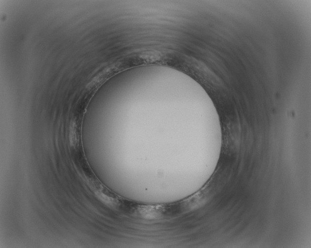 X0000083060136200702161806